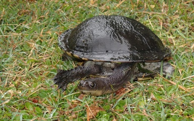 PB040837a.jpg